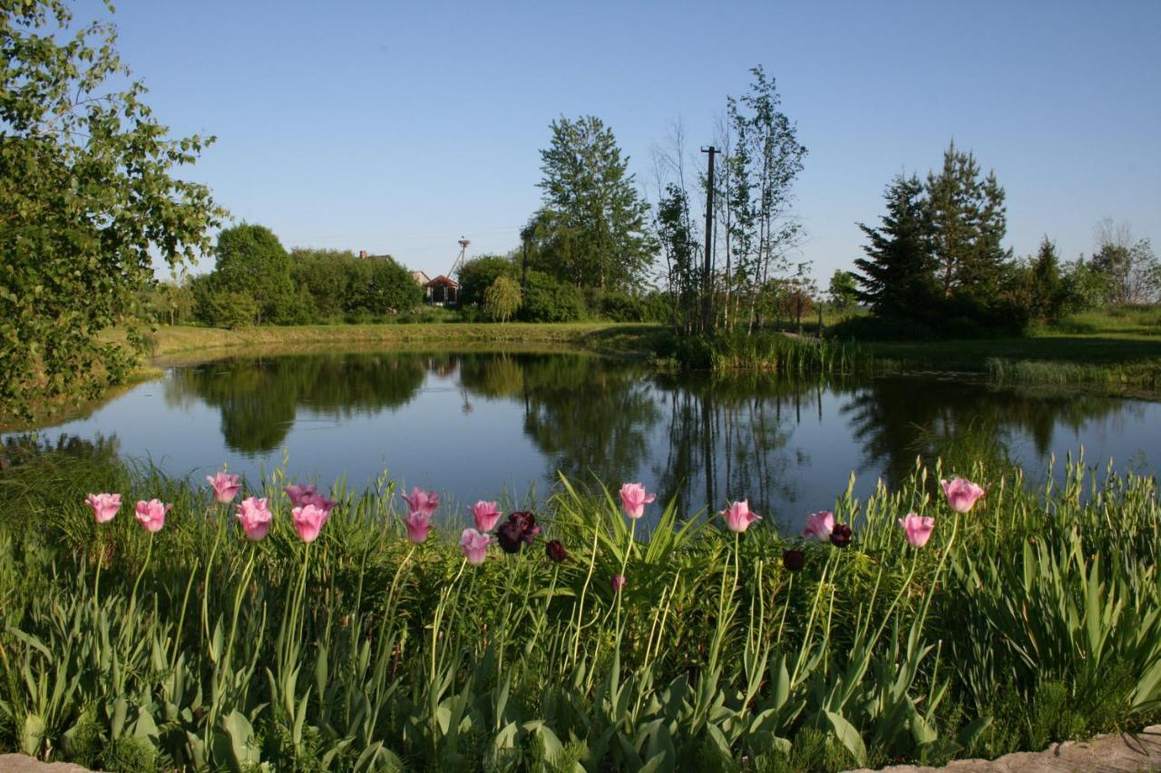 Dikisi Daugavpils Exterior foto